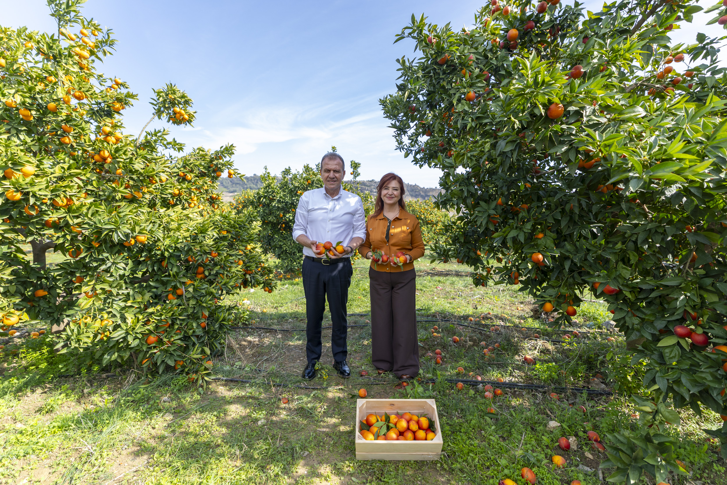Başkan Seçer: Kırsal kalkınma ile birlikte Mersin tanınsın istiyoruz
