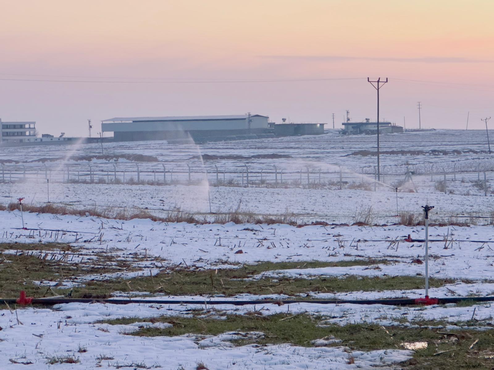 Karla kaplı arazide kaçak elektrikle sulama yapıldı