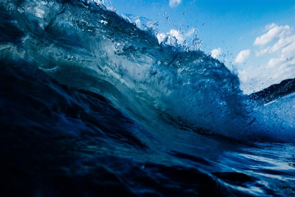 Türkiye, Hint Okyanusu Ton Balığı Komisyonu’nda gözlemci ülke oldu