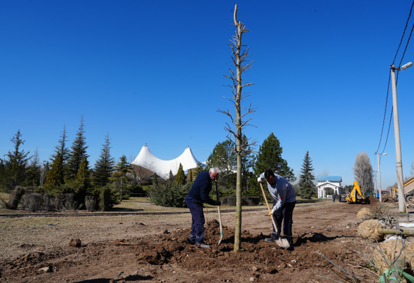 Sazova’da ağaçlandırma çalışmaları başladı