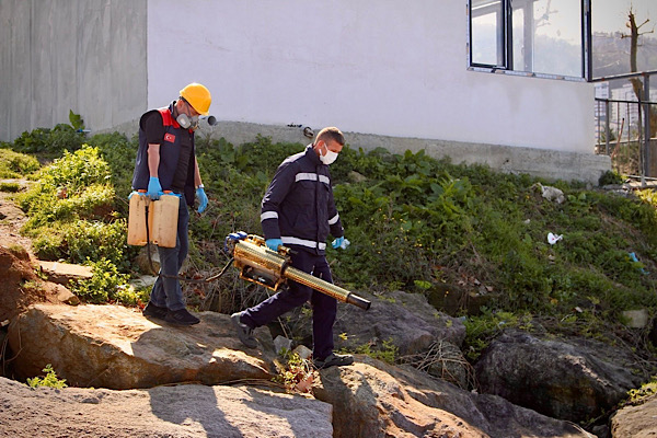 Giresun’da ilaçlama çalışmaları başladı