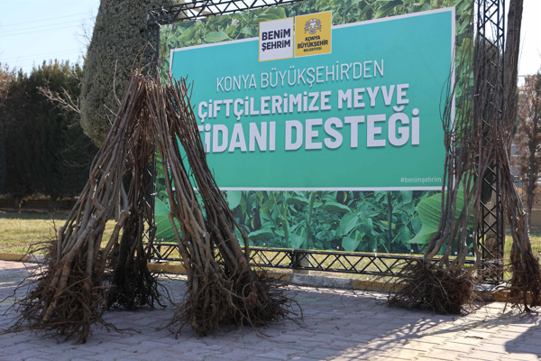 Konya’da çiftçi ve üreticilere yönelik fidan dağıtımı başladı