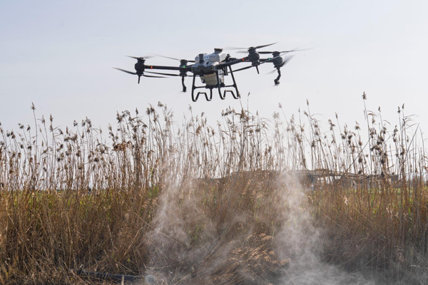 İzmir’de sivrisinek ve zararlılara karşı yeni model