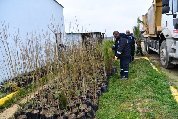 Keşan Belediyesi Hayvan Bakımevi’nde ağaçlandırma çalışmaları yürütülüyor