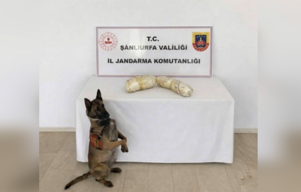 Şanlıurfa’da uyuşturucu operasyonu