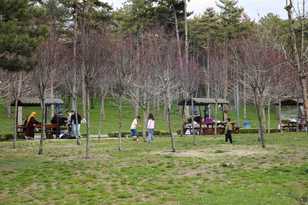 Ankaralılar, bayram tatilini mesire alanlarında geçirdi