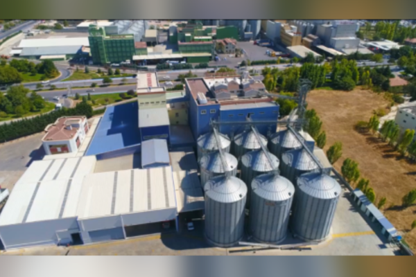 Türkiye’nin yeni ekmeği Konya’da geliştirildi