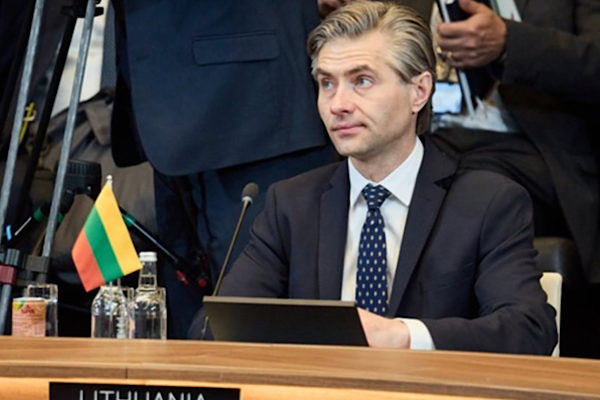 Budrys: Litvanya, güvenilir NATO müttefiki olan Türkiye ile dayanışma içindedir