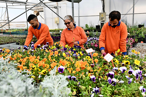 Muratpaşa’da bitki üretim tesisi ile sürdürülebilir üretim yapılıyor