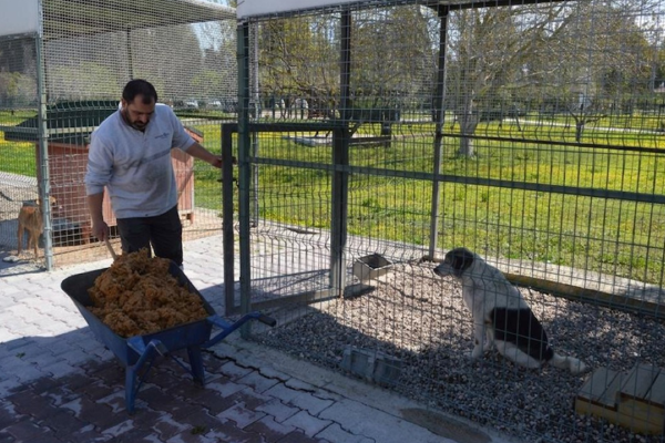 Konyaaltı’nda sokak hayvanları için proje
