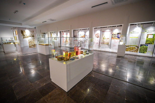 İzmir Mutfak Müzesi için “Açılışa Doğru” sergisi başladı