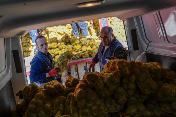 Büyükşehir, 60 bin haneye patates dağıtımına başladı