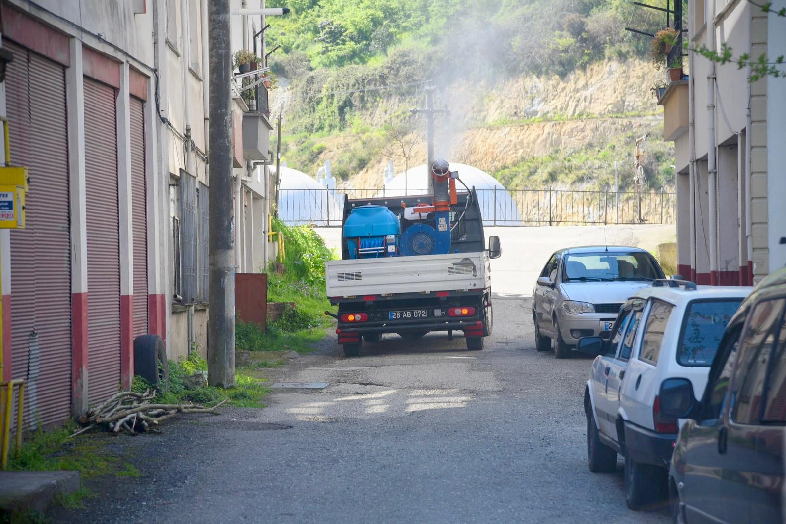 Giresun’da kahverengi kokarcaya karşı ilaçlama başladı