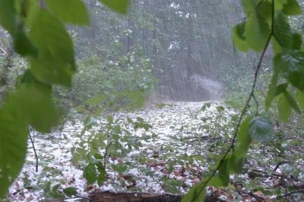 Meteoroloji’den kuvvetli yağış ve rüzgar uyarısı