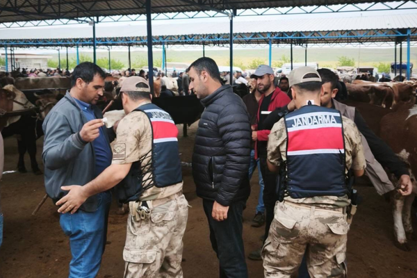 Şanlıurfa’da hayvan pazarlarında bayram tedbirleri artırıldı