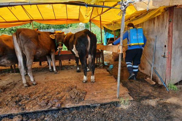 Trabzon’da kurban alanlarında hijyen ve ilaçlama seferberliği