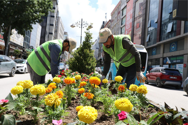 Van’da refüjlere 17 bin mevsimlik çiçek dikildi