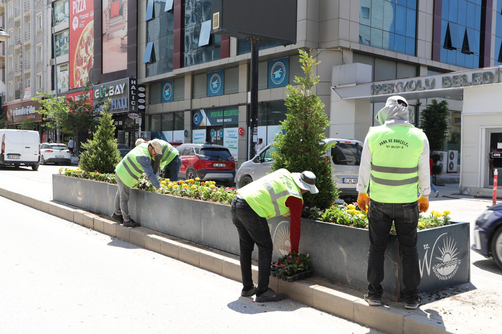 Van’da refüjlere 17 bin mevsimlik çiçek dikildi
