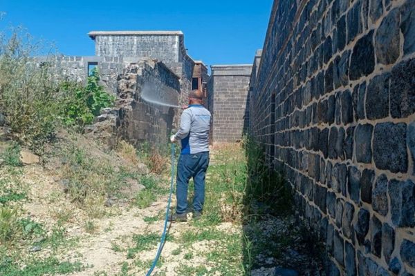 Diyarbakır’da akrep mücadelesi başlatıldı