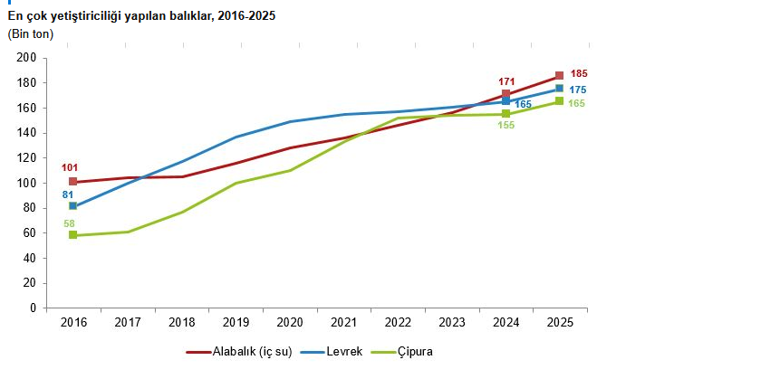 TÜİK- Su ürünleri üretimi 2025 yılında yüzde 11,1 arttı