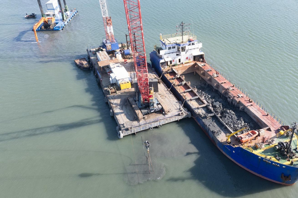 İzmir Körfezi’nde 25 yıl sonra jumbo karides yeniden görüldü