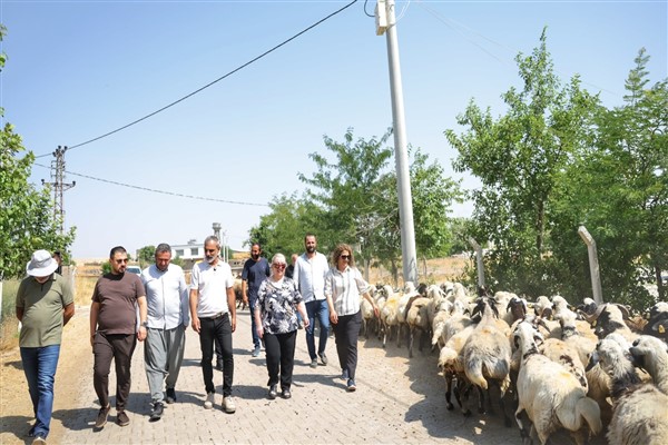 Kayapınar’da kırsal mahallelerde altyapı çalışmaları sürüyor