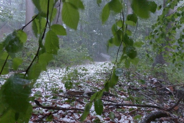 Meteoroloji’den Tekirdağ için kuvvetli sağanak uyarısı