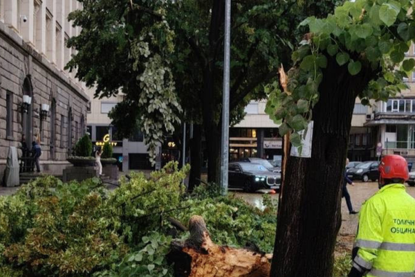Sofya ve Plovdiv’da fırtına hasarı: Ekipler çalışmalarını sürdürüyor