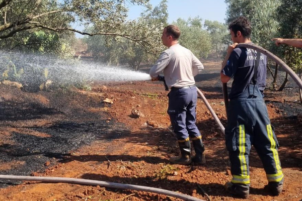 Antalya’da orman yangınlarına karşı büyükşehir ekipleri dört ilçede görev yaptı