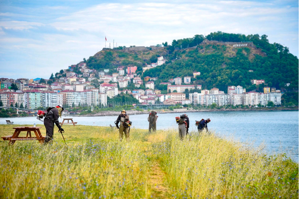 Giresun’da sahil bölgesinde ot biçme çalışmaları sürüyor