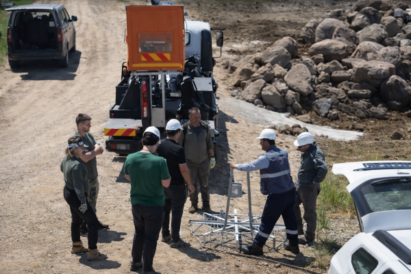 Göçmen kuşlar Dicle Elektrik ile güvende