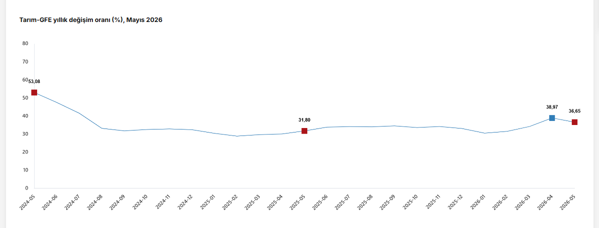 TÜİK: Tarım-GFE Mayıs’ta yıllık yüzde 36,65 arttı