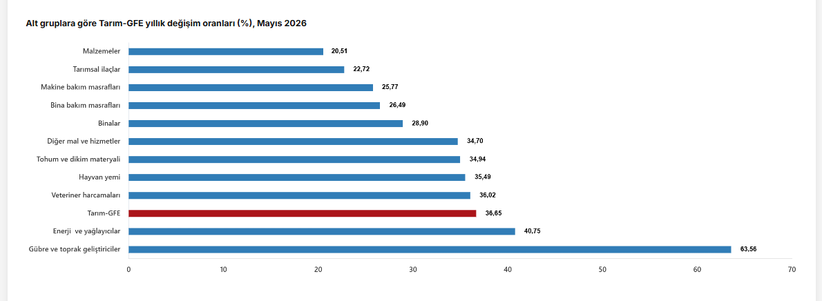 TÜİK: Tarım-GFE Mayıs’ta yıllık yüzde 36,65 arttı