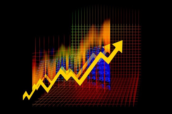 Ofis Yem’den pay geri alımı