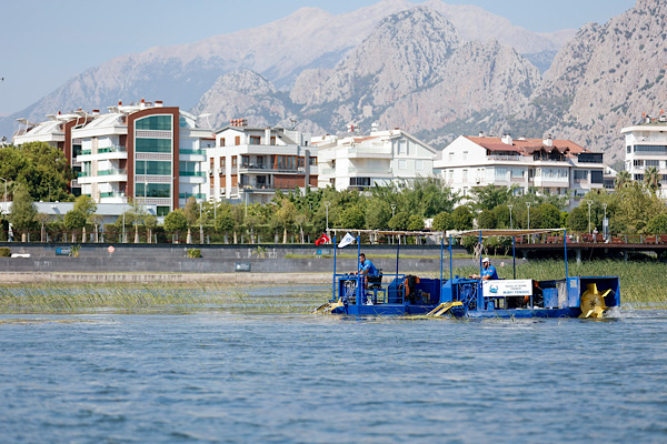 Antalya’da Boğaçayı’nda sucul bitki temizliği sürüyor