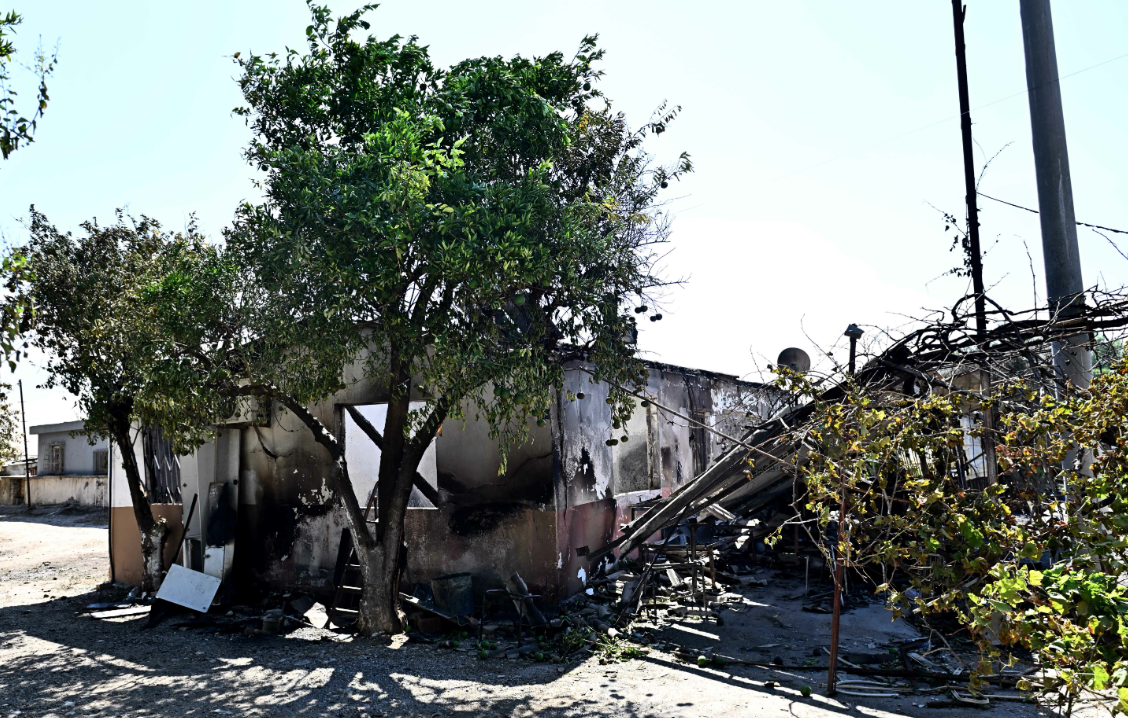 Uysal, Doğuyaka’daki yangın bölgesini inceledi
