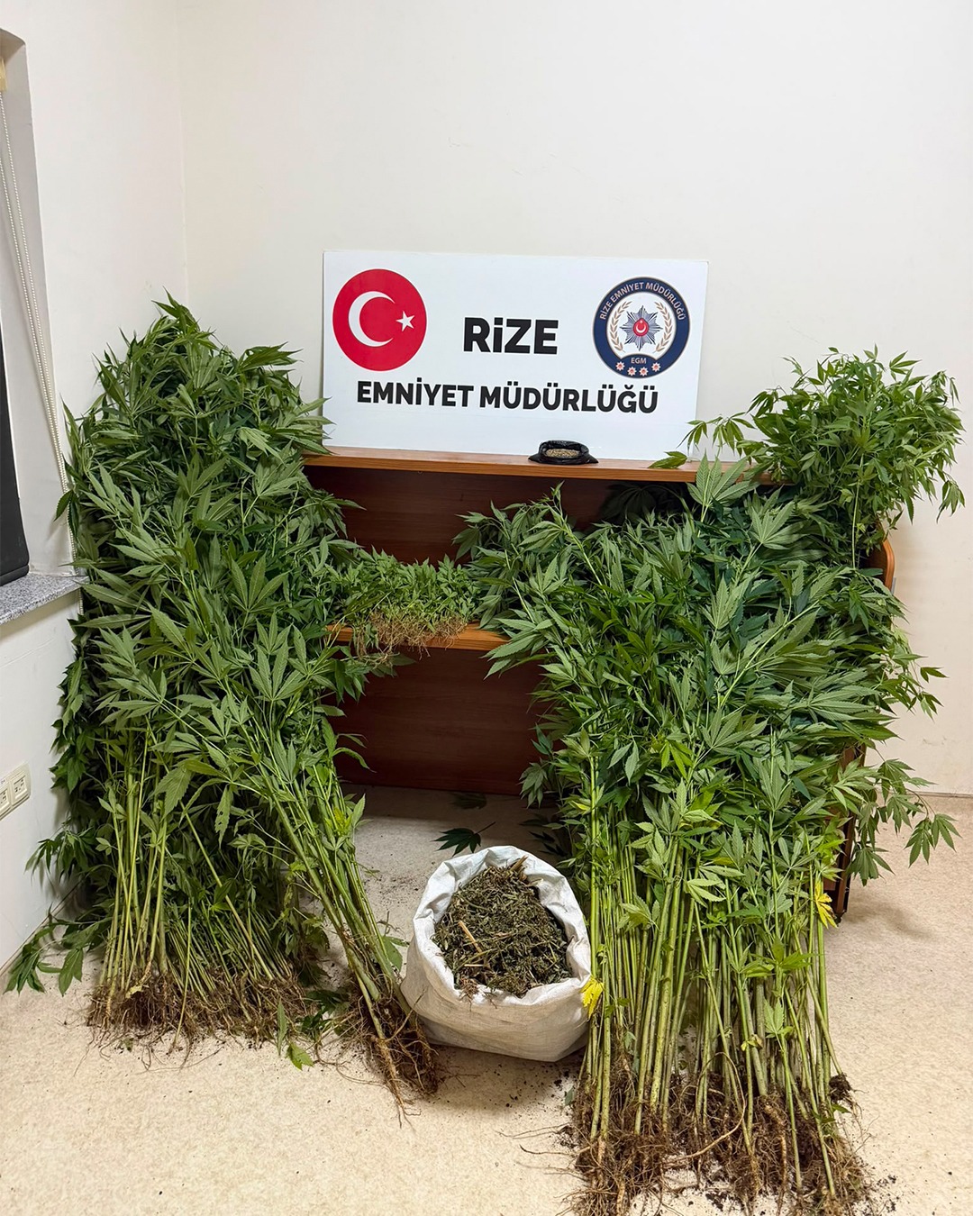 Rize’de uyuşturucu operasyonu: 12 şüpheli hakkında işlem, 5 tutuklama