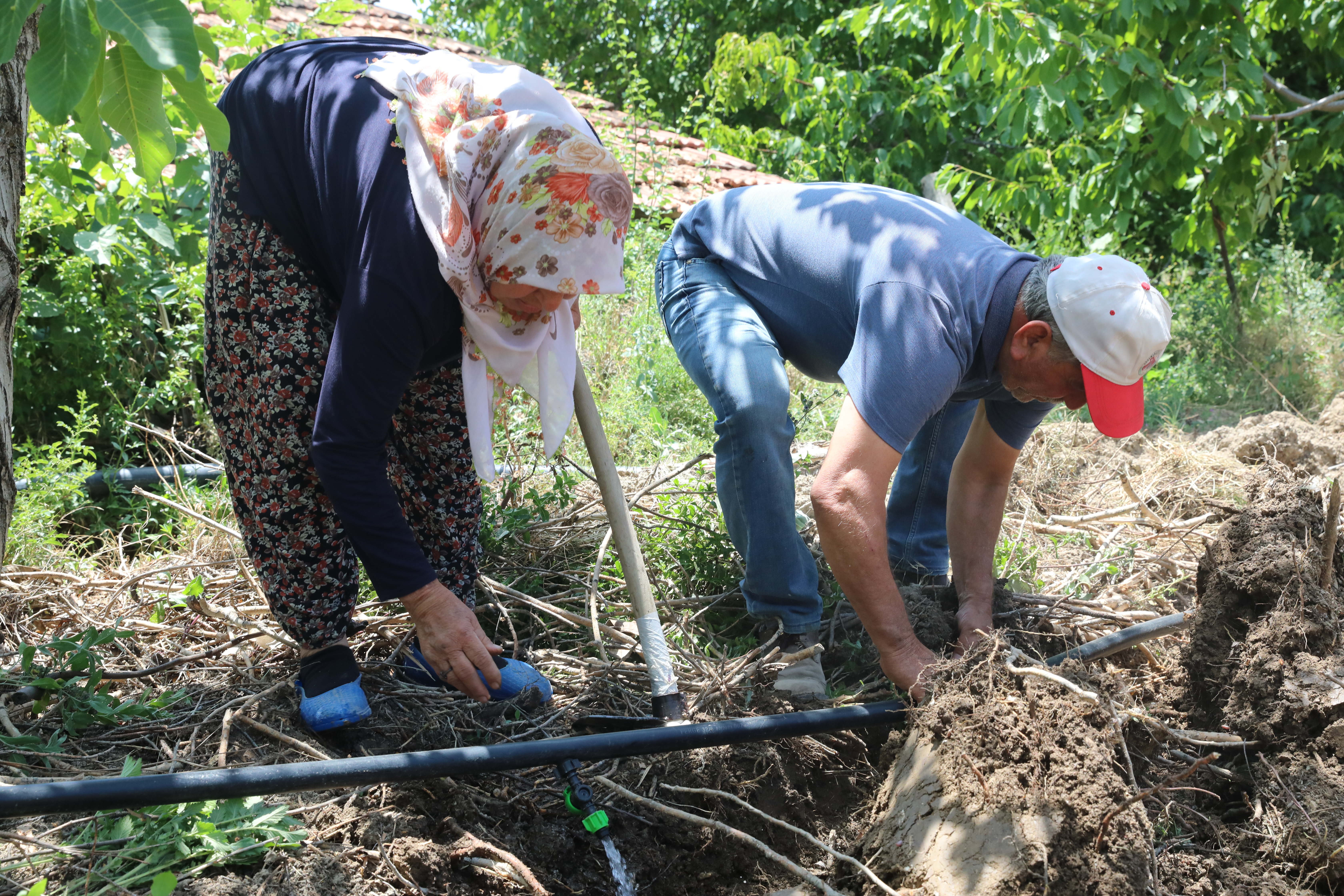 Enerji desteği Antalya tarımını güçlendiriyor