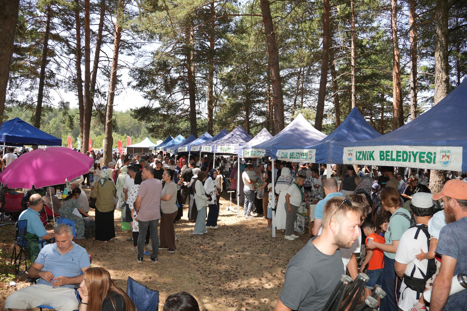 İznik’te 5’inci Maviyemiş Festivali düzenlendi