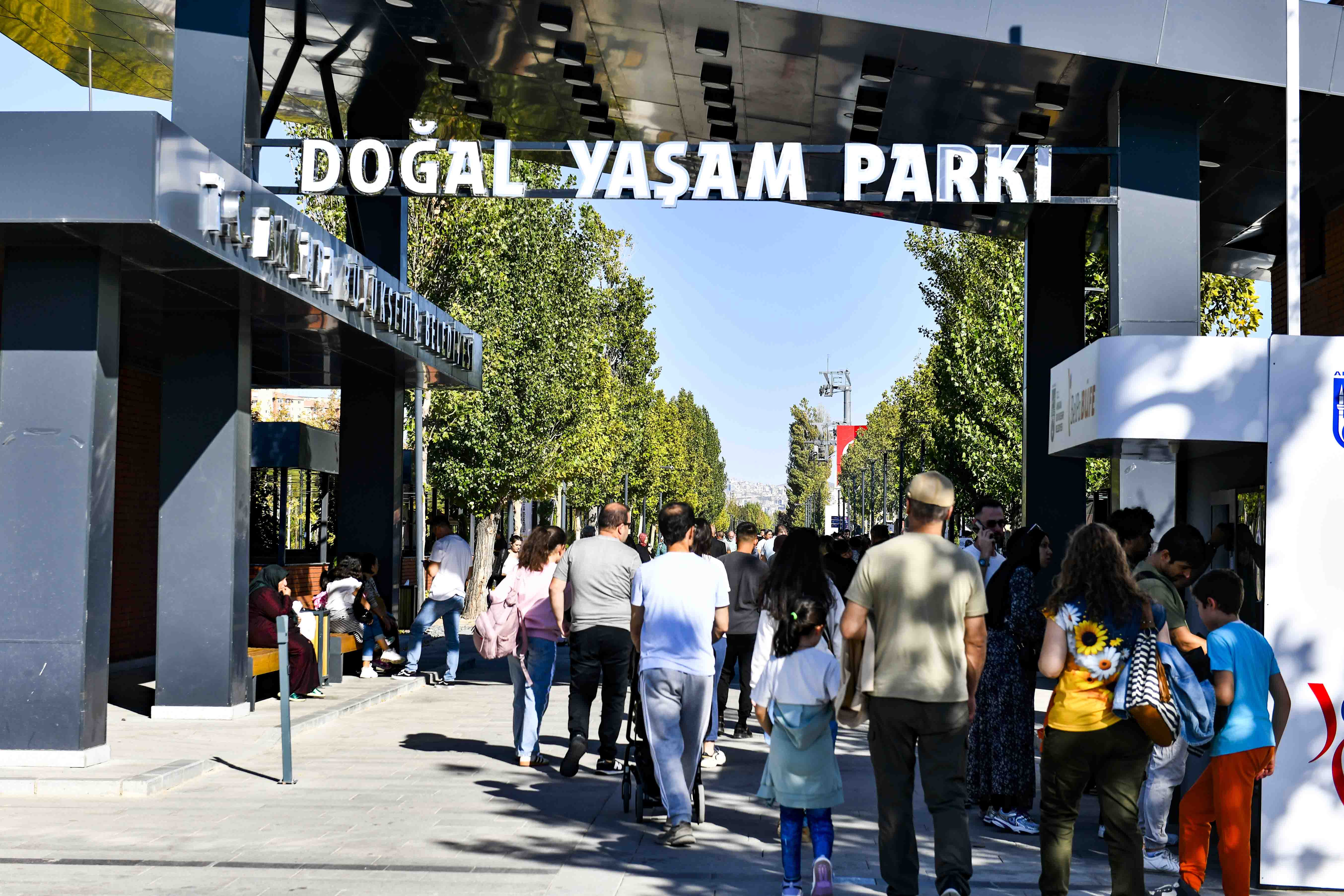 Başkentliler seçti: Yavru zebranın adı “Pijamalı” oldu