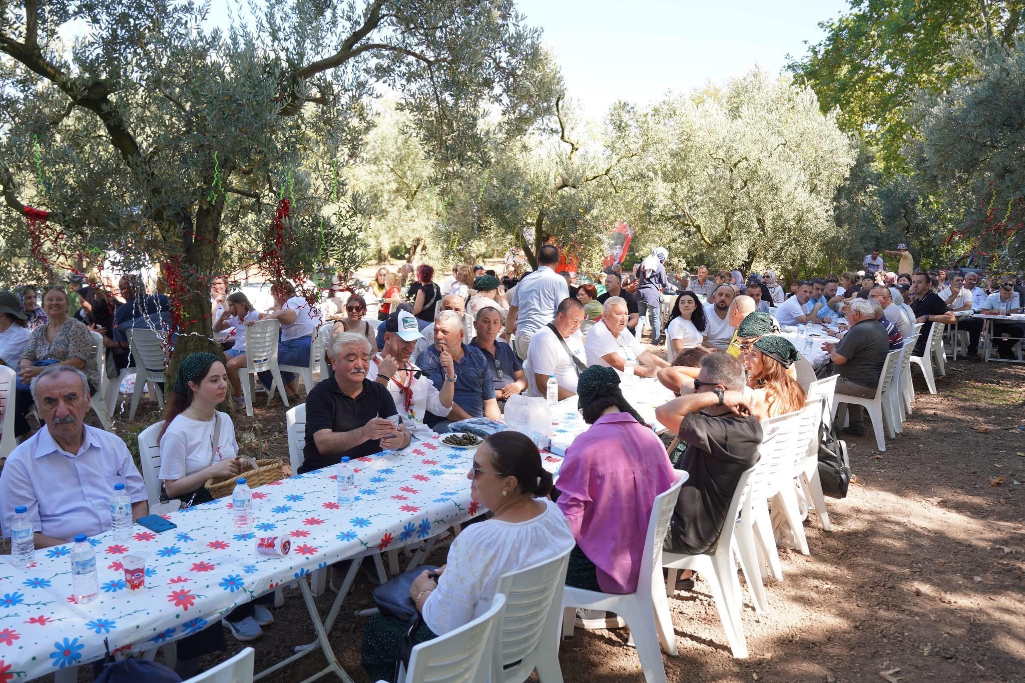 Gemlik’te zeytin hasat sezonu dualarla başladı