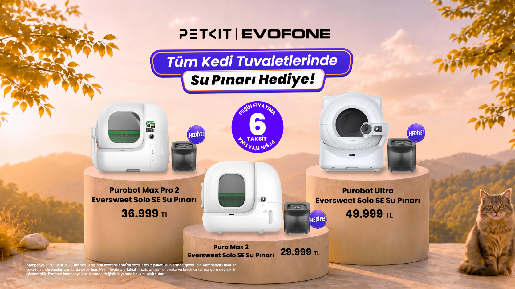 Kedi dostu eve akıllı dokunuş: EVOFONE’da Petkit eylül kampanyaları başladı