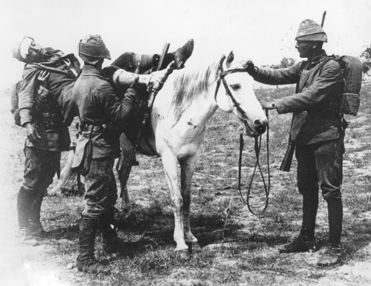 Çanakkale Muharebeleri’nin ilk ateşkes girişimi sanılandan önce başladı
