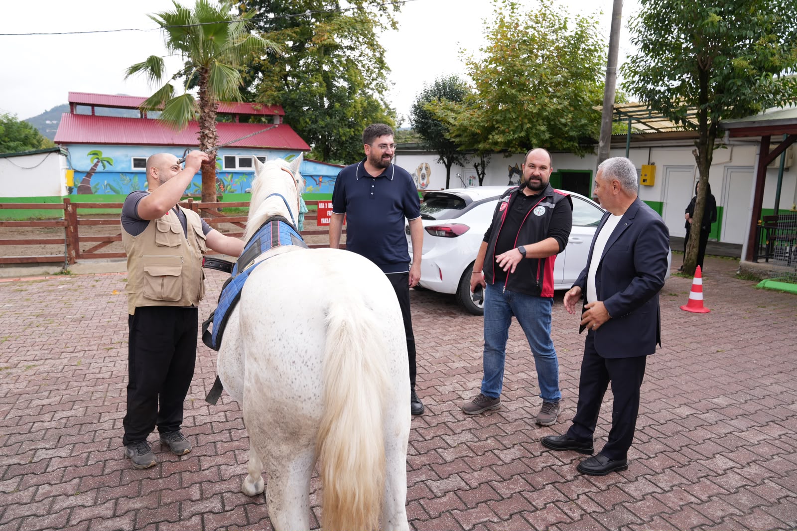 Giresun’da hayvan barınağı ve hayvanat bahçesinde çalışmalar incelendi