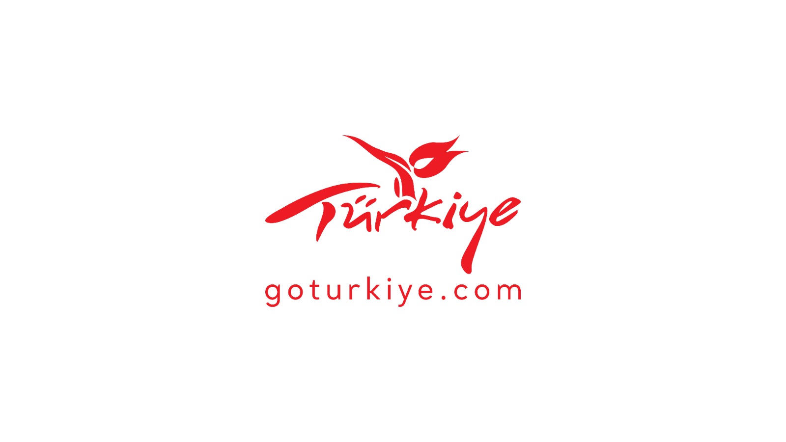 81 ilin tanıtımında yeni dönem: Go ve Gezsen hesapları birleşiyor