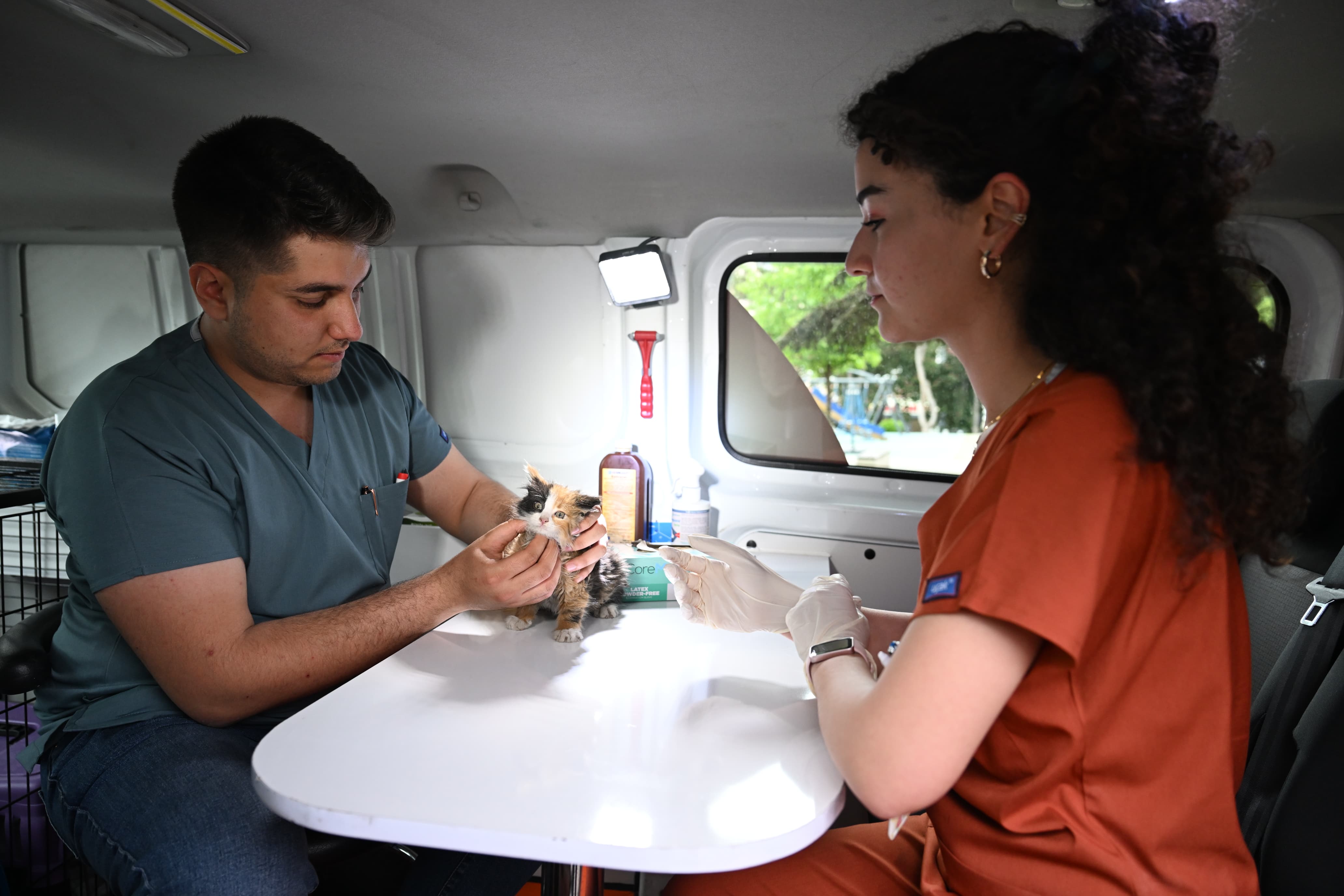 Yıldırım Belediyesi’nin PatiVet aracı bin 222 sahipsiz hayvana ulaştı
