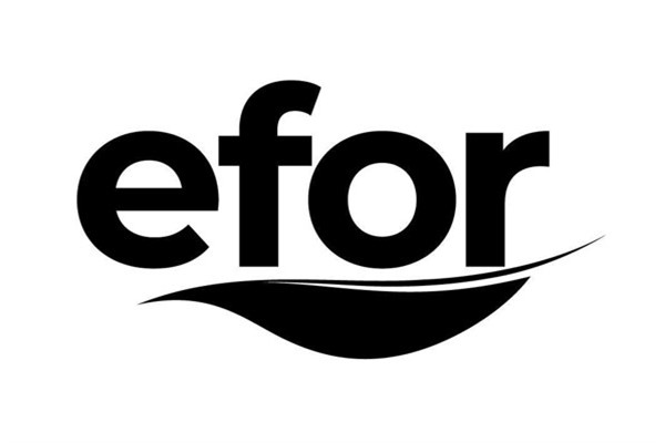 Efor Holding’in Efor Yatırım’daki pay alım limiti 5 milyar TL’ye yükseltildi