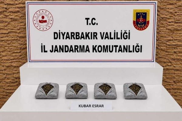 Diyarbakır’da uyuşturucu operasyonlarında 57 bin 702 kök kenevir ele geçirildi
