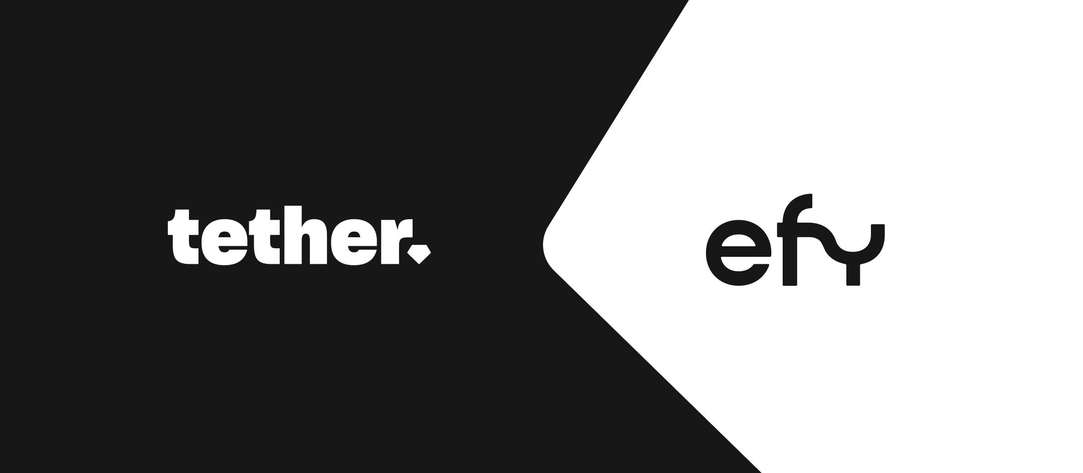 Tether’den EFY Finance’e yatırım