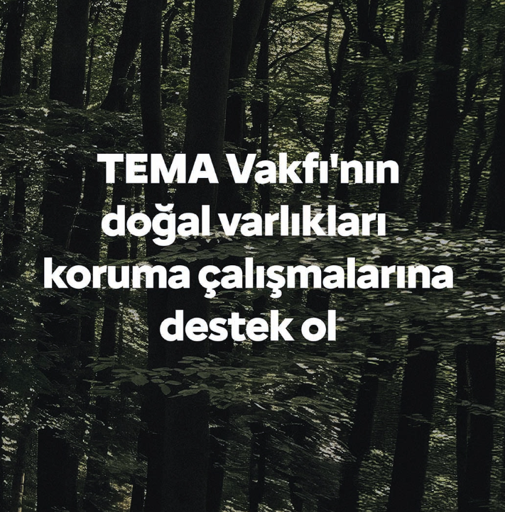 Citroen Ami ve TEMA Vakfından doğa için farkındalık çalışması